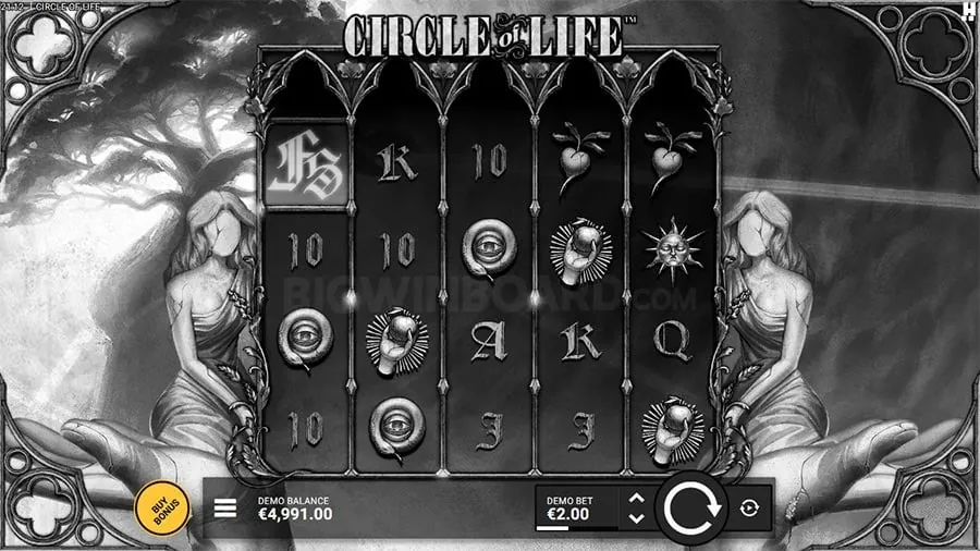 Beginner's Guide to Live Blackjack